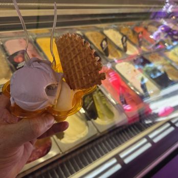Gelati - Beirut ashta + taro - Gelato Near Me - West Hollywood, California