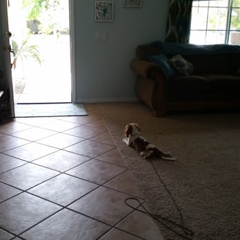 Board N Behave - Pet Training Near Me - Wildomar, California Board N Behave - Pet Training Near Me - Wildomar, California