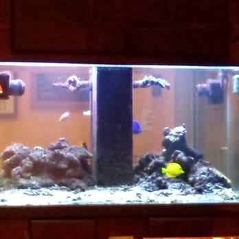 El Rocoto - Aquarium - Peruvian Near Me - Cerritos, California