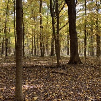 Pilcher Park Nature Center - Hill - Parks Near Me - Joliet, Illinois Pilcher Park Nature Center - Hill - Parks Near Me - Joliet, Illinois
