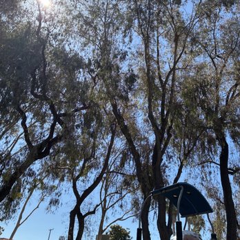 Livingston Drive Park - Lots of shade - Parks Near Me - Long Beach, California Livingston Drive Park - Lots of shade - Parks Near Me - Long Beach, California