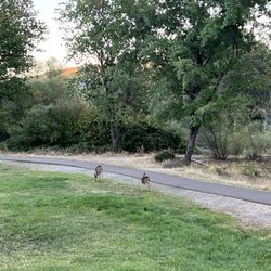 Greenhorn Park