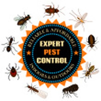 Golden Arrow Pest Control - ALL YOUR INSECTS SOLUTION GUARANTEED. - Pest Control Near Me - Edmonton, Alberta Golden Arrow Pest Control - ALL YOUR INSECTS SOLUTION GUARANTEED. - Pest Control Near Me - Edmonton, Alberta