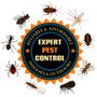 Photo of Golden Arrow Pest Control