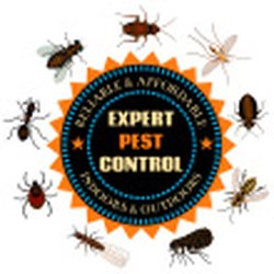 Golden Arrow Pest Control - ALL YOUR INSECTS SOLUTION GUARANTEED.