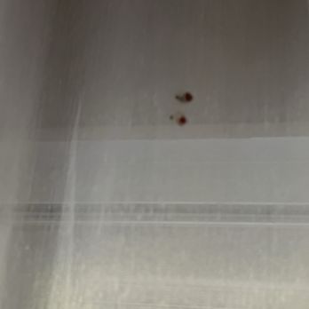 Plantation Hale Suites - Blood on the curtains - Hotels Near Me - Kapaa, Hawaii