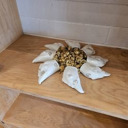 Cottonwood Clay Studio