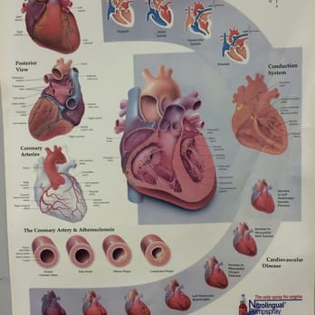 Mejia Jose MD - Doctors Near Me - Austin, Texas Mejia Jose MD - Doctors Near Me - Austin, Texas