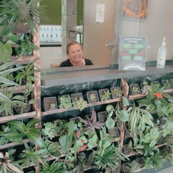 Green Eden - Cannabis Dispensaries Near Me - Portage, Michigan Green Eden - Cannabis Dispensaries Near Me - Portage, Michigan