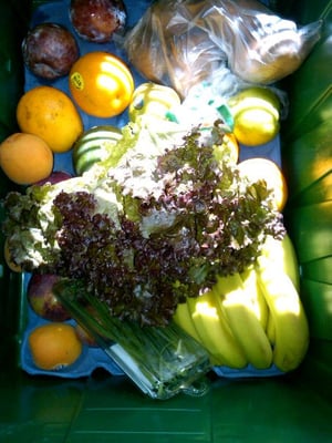 Boston Organics by null