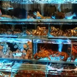 釣魚翁 燒鵝．海鮮飯店 - Seafood tanks