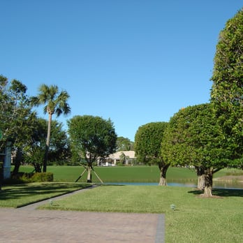 Greatland Tree Service - tree pruning - Tree Services Near Me - Anchorage, Alaska
