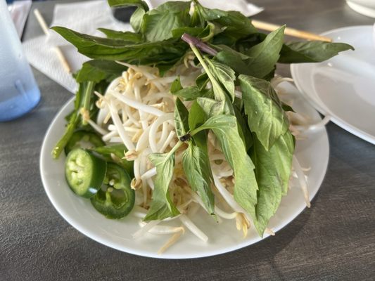 Pho Nam Lua by null