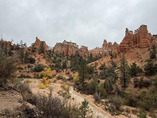 Mossy Cave Trailhead by null
