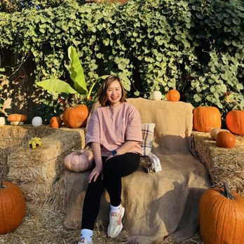 Live Oak Canyon Pumpkin Patch and Christmas Tree Farm - Christmas Trees Near Me - Redlands, California Live Oak Canyon Pumpkin Patch and Christmas Tree Farm - Christmas Trees Near Me - Redlands, California