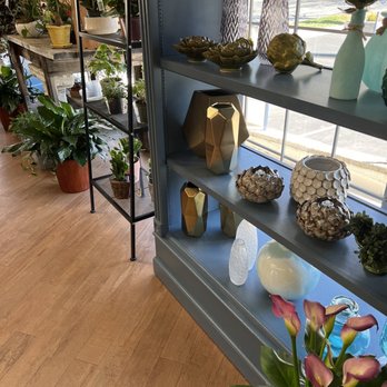 The Blossom Shop - Florists Near Me - Charlotte, North Carolina The Blossom Shop - Florists Near Me - Charlotte, North Carolina
