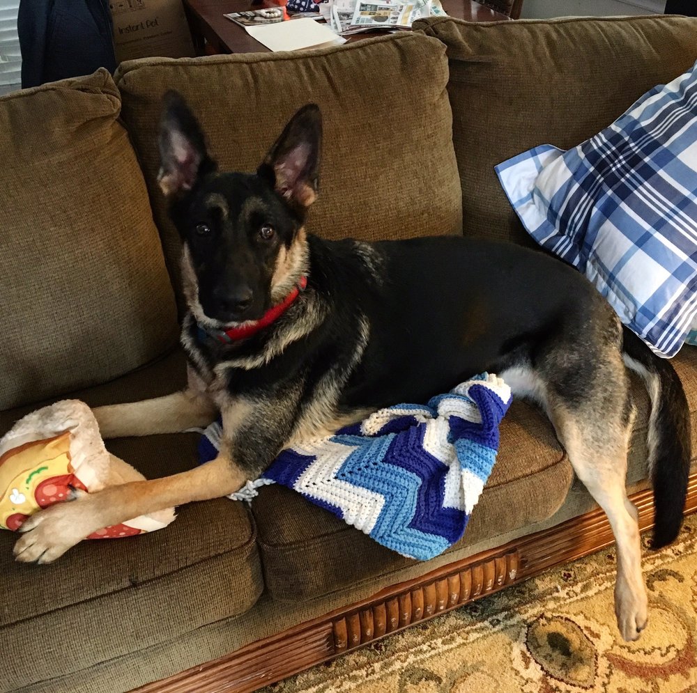 DAWG TIRED AUGUSTA Updated July 2024 14 Photos & 18 Reviews 4005