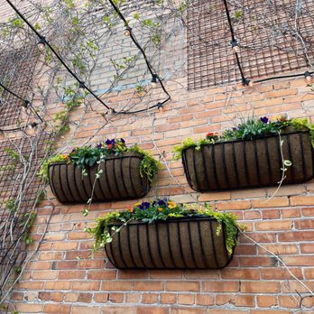 Plonk - Fresh flowers in all the planter boxes make it so pretty - Cocktail Bars Near Me - Missoula, Montana