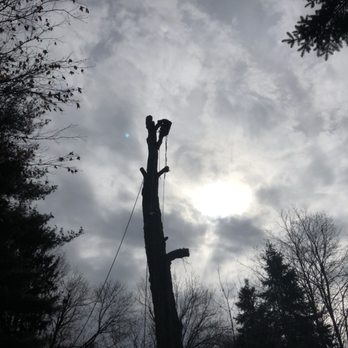 Saw'd Off Tree Service - Dead locust removal - Tree Services Near Me - Poughkeepsie, New York Saw'd Off Tree Service - Dead locust removal - Tree Services Near Me - Poughkeepsie, New York