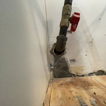 Shield Miceproofing - Pest Control Near Me