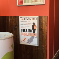 Taco Mazama