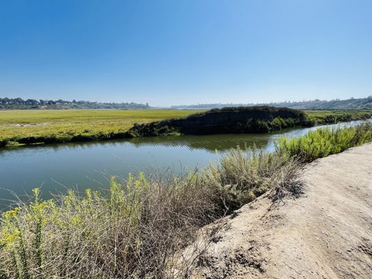 Upper Newport Bay Nature Preserve by null