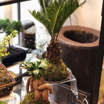 Utsuwa Botanical Design - Nurseries & Gardening Near Me - New York, New York