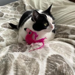 Sunny with her favorite toy