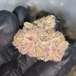 Fresh Delaware