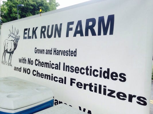 Staunton Farmers' Market by null