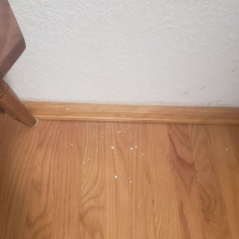 Piper Electric - Drywall 'crumbs' not cleaned up. - Electricians Near Me - Arvada, Colorado