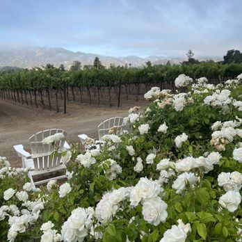 Harvest Inn - Beautiful view from hotel - Hotels Near Me - St Helena, California