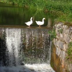 Alter Kanal