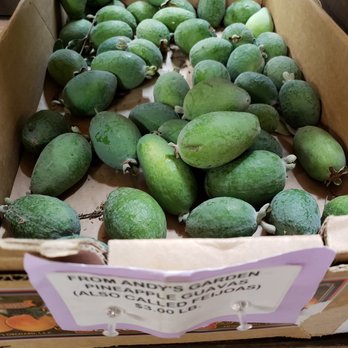 Andy's Orchard - Fruits & Veggies Near Me - Morgan Hill, California