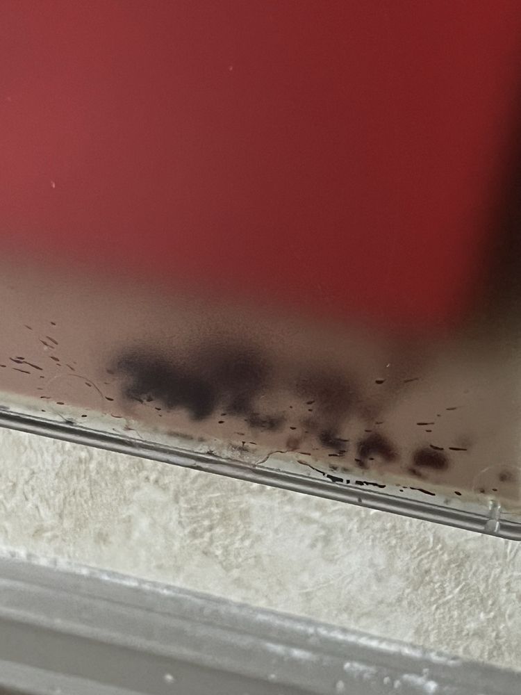 Norton Audubon Hospital - patient advocate in Louisville, KY