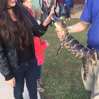 Insta-Gator Ranch & Hatchery - Tours Near Me - Covington, Louisiana Insta-Gator Ranch & Hatchery - Tours Near Me - Covington, Louisiana