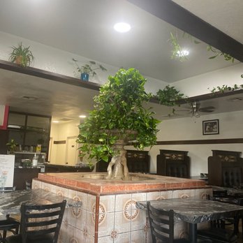Borreguitas Bar Express - Center of restaurant. - Mexican Near Me - Pomona, California