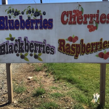 U-Pick Berries - a sign for blueberries and raspberries - Fruits & Veggies Near Me - Stockton, California U-Pick Berries - a sign for blueberries and raspberries - Fruits & Veggies Near Me - Stockton, California