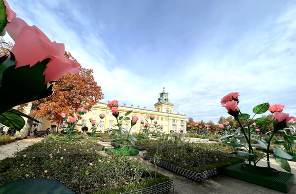 Museum of King Jan III's Palace at Wilanów by null