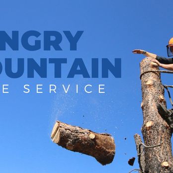 Hungry Mountain Tree Service - Tree Services Near Me Hungry Mountain Tree Service - Tree Services Near Me