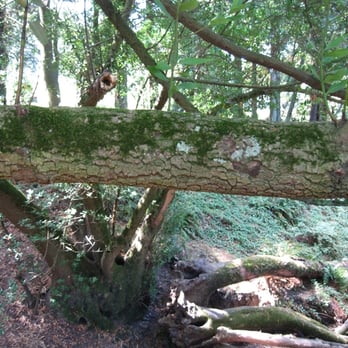 Tilden Regional Park - Parks Near Me - Berkeley, California