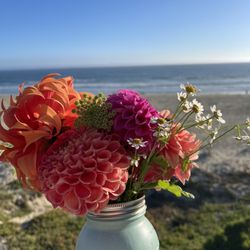 Flowers stand with Melissa. It is a tradition to get beautiful dahlias in Summer!From Apr/May to Sep 13 this year.Wed.4 pmto7pm