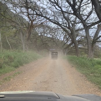 Kualoa Ranch - Driving on the road - Tours Near Me - Kaneohe, Hawaii Kualoa Ranch - Driving on the road - Tours Near Me - Kaneohe, Hawaii