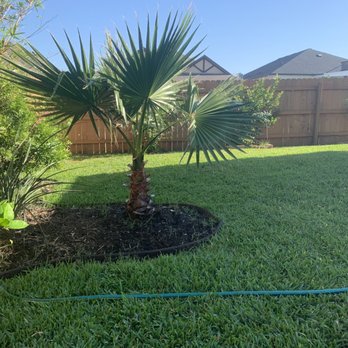 The Grass Outlet - Texas st. Augustine - Irrigation Near Me - Austin, Texas The Grass Outlet - Texas st. Augustine - Irrigation Near Me - Austin, Texas