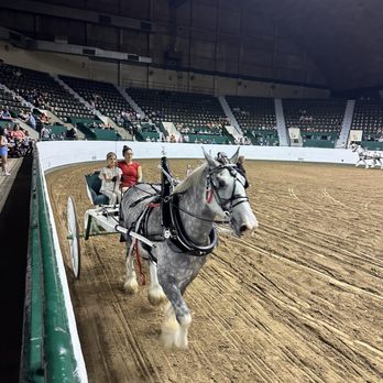 Minnesota State Fair - Festivals Near Me - Saint Paul, Minnesota Minnesota State Fair - Festivals Near Me - Saint Paul, Minnesota