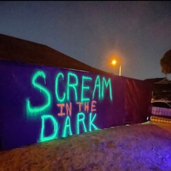 Scream In The Dark Haunted Maze