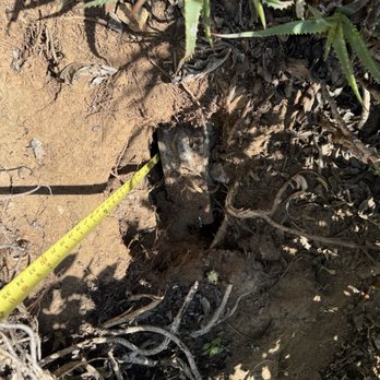 Premier Pools & Spas - San Diego - 2 foot deep hole in my hillside garden while. - Swimming Pools Near Me - Carlsbad, California Premier Pools & Spas - San Diego - 2 foot deep hole in my hillside garden while. - Swimming Pools Near Me - Carlsbad, California