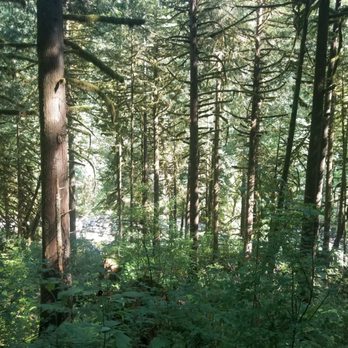 Wallace Falls State Park - Parks Near Me - Gold Bar, Washington Wallace Falls State Park - Parks Near Me - Gold Bar, Washington