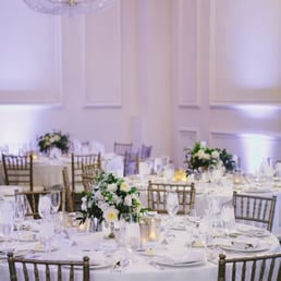 Chairs by Chiavari Chair Rentals Chairs by Chiavari Chair Rentals