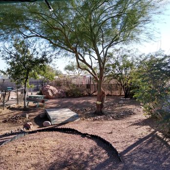 Arbor Care Tree Service - Tree Services Near Me Arbor Care Tree Service - Tree Services Near Me